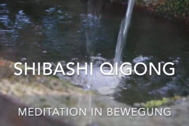 Lehrgang Shibashi Qi Gong - Meditation in Bewegung