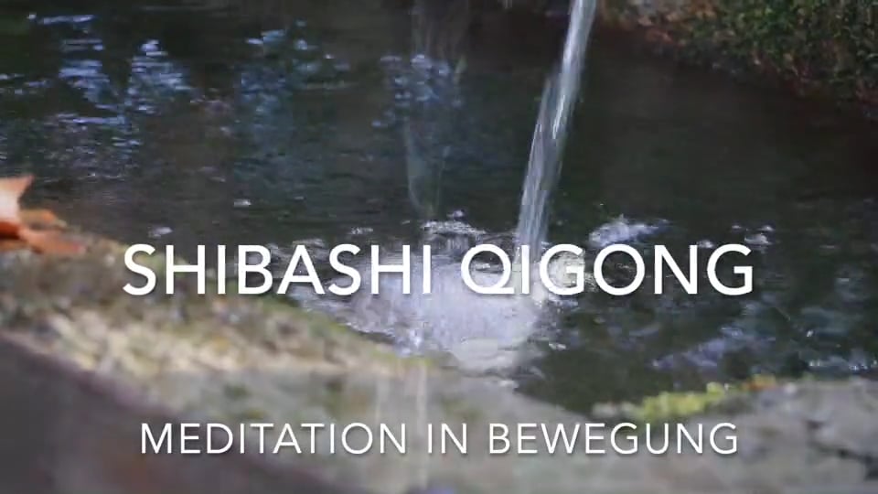 Lehrgang Shibashi Qi Gong - Meditation in Bewegung